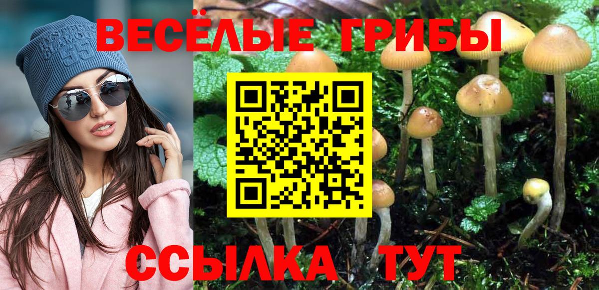 Галлюциногенные грибы ЛСД Мелеуз