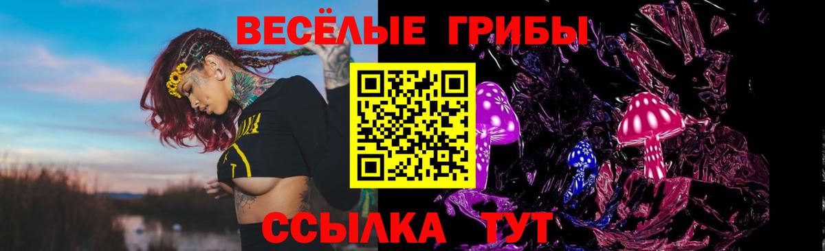 Мелеуз  Псилоцибиновые грибы Psilocybine cubensis  Вход с VPN 